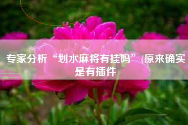 专家分析“划水麻将有挂吗	”(原来确实是有插件