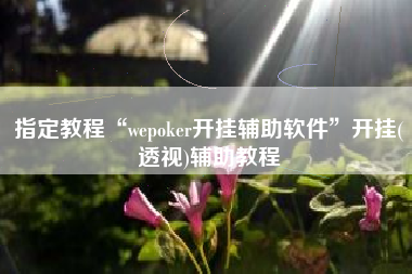 指定教程“wepoker开挂辅助软件”开挂(透视)辅助教程