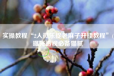 实操教程“2人微乐捉老麻子开挂教程	”(曝光透视必备猫腻