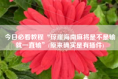 今日必看教程“琼崖海南麻将是不是输就一直输”(原来确实是有插件)
