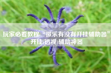 玩家必看教程“微乐有没有开挂辅助器”开挂(透视)辅助神器