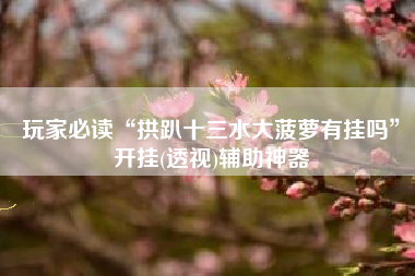 玩家必读“拱趴十三水大菠萝有挂吗	”开挂(透视)辅助神器