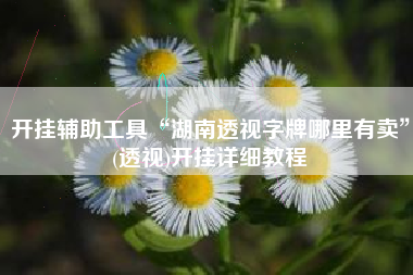 开挂辅助工具“湖南透视字牌哪里有卖”(透视)开挂详细教程