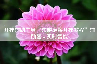 开挂辅助工具“东游麻将开挂教程”辅助器 - 实时智能