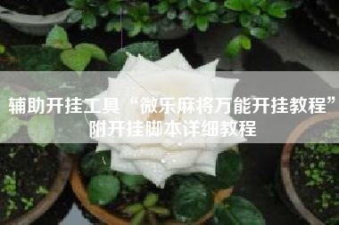 辅助开挂工具“微乐麻将万能开挂教程”附开挂脚本详细教程