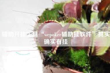 辅助开挂工具“wepoker辅助挂软件”其实确实有挂