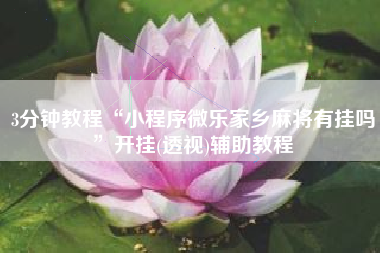 3分钟教程“小程序微乐家乡麻将有挂吗”开挂(透视)辅助教程