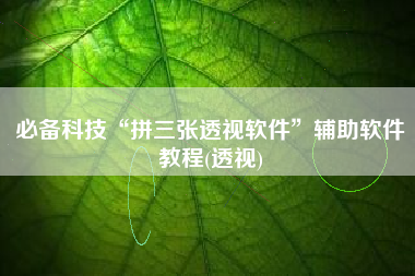 必备科技“拼三张透视软件	”辅助软件教程(透视)