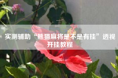 实测辅助“熊猫麻将是不是有挂	”透视开挂教程