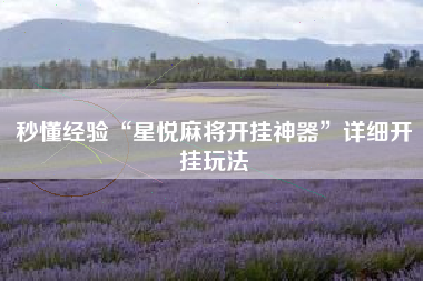 秒懂经验“星悦麻将开挂神器”详细开挂玩法