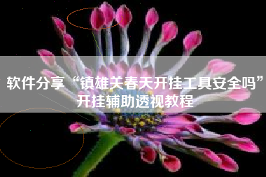 软件分享“镇雄关春天开挂工具安全吗”开挂辅助透视教程