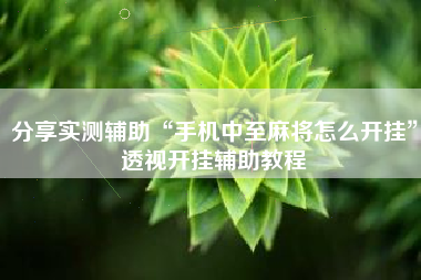 分享实测辅助“手机中至麻将怎么开挂	”透视开挂辅助教程