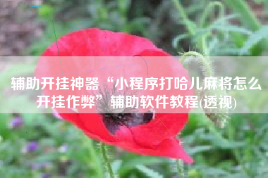 辅助开挂神器“小程序打哈儿麻将怎么开挂作弊”辅助软件教程(透视)