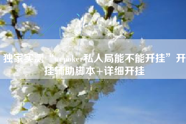 独家实测“wepoker私人局能不能开挂”开挂辅助脚本+详细开挂