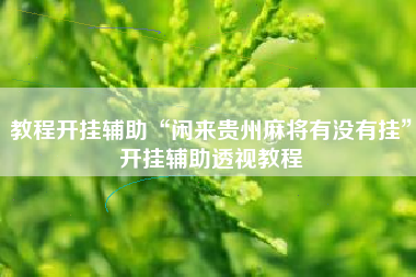 教程开挂辅助“闲来贵州麻将有没有挂”开挂辅助透视教程