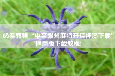必看教程“中至赣州麻将开挂神器下载	”通用版下载教程!