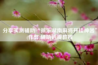 分享实测辅助“微乐湖南麻将开挂神器”(作弊)辅助透视教程