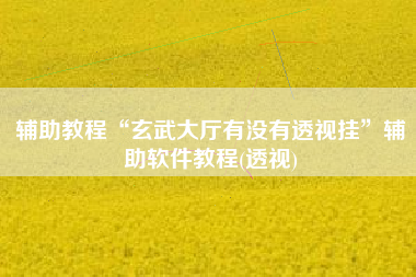 辅助教程“玄武大厅有没有透视挂	”辅助软件教程(透视)