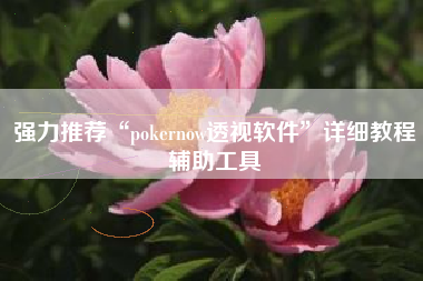 强力推荐“pokernow透视软件”详细教程辅助工具