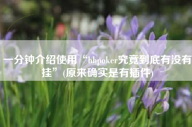 一分钟介绍使用“hhpoker究竟到底有没有挂	”(原来确实是有插件)