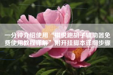 一分钟介绍使用“棋悦跑胡子辅助器免费使用教程详解”附开挂脚本详细步骤