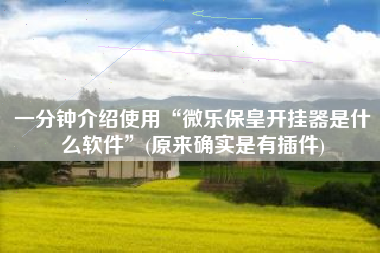 一分钟介绍使用“微乐保皇开挂器是什么软件”(原来确实是有插件)