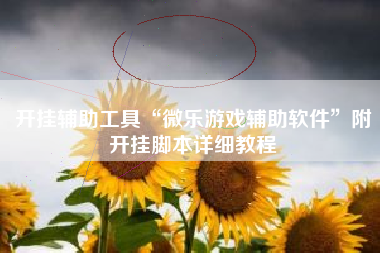 开挂辅助工具“微乐游戏辅助软件	”附开挂脚本详细教程