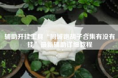 辅助开挂工具“同城跑胡子合集有没有挂”最新辅助详细教程