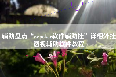 辅助盘点“wepoker软件辅助挂”详细外挂透视辅助软件教程