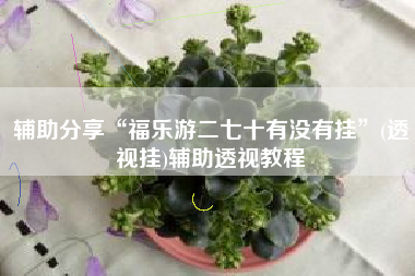 辅助分享“福乐游二七十有没有挂”(透视挂)辅助透视教程