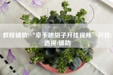 教程辅助!“牵手跑胡子开挂视频”开挂(透视)辅助
