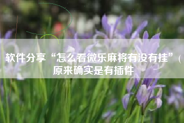软件分享“怎么看微乐麻将有没有挂”(原来确实是有插件