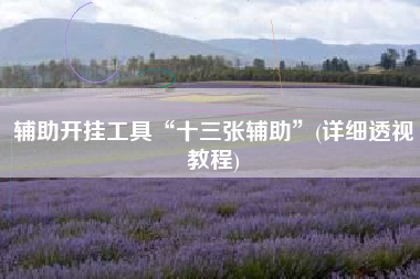 辅助开挂工具“十三张辅助”(详细透视教程)