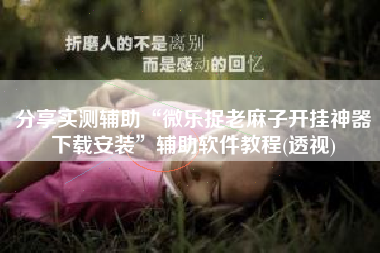 分享实测辅助“微乐捉老麻子开挂神器下载安装	”辅助软件教程(透视)