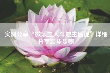 实测分享“微乐三人斗地主透视”详细分享装挂步骤