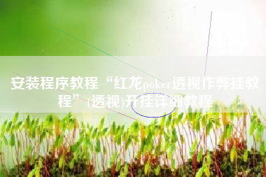 安装程序教程“红龙poker透视作弊挂教程”(透视)开挂详细教程