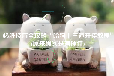 必胜技巧全攻略“哈狗十三道开挂教程”(原来确实是有插件)