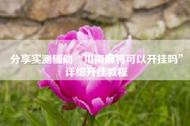 分享实测辅助“川南麻将可以开挂吗”详细开挂教程