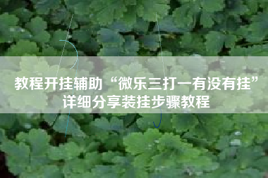 教程开挂辅助“微乐三打一有没有挂”详细分享装挂步骤教程