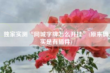 独家实测“同城字牌怎么开挂	”(原来确实是有插件)