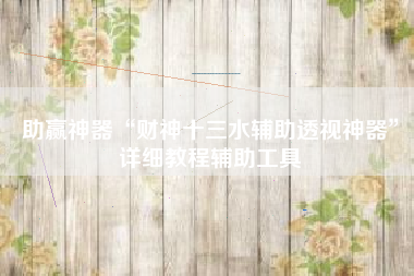 助赢神器“财神十三水辅助透视神器”详细教程辅助工具