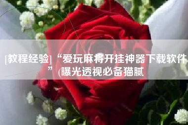 [教程经验]“爱玩麻将开挂神器下载软件	”(曝光透视必备猫腻