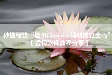 秒懂经验“德州局wepoker辅助挂安全吗”【透视软件教程分享】