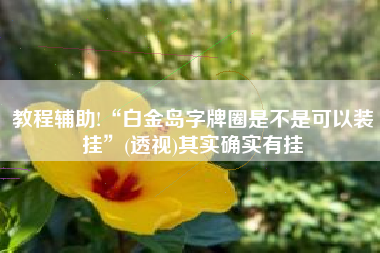 教程辅助!“白金岛字牌圈是不是可以装挂	”(透视)其实确实有挂