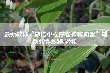 最新教你“微信小程序雀神辅助器”辅助软件教程(透视)