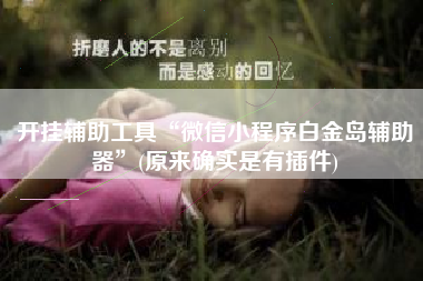 开挂辅助工具“微信小程序白金岛辅助器	”(原来确实是有插件)