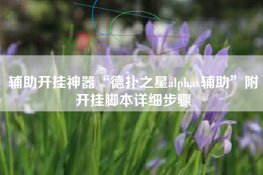 辅助开挂神器“德扑之星alphax辅助”附开挂脚本详细步骤