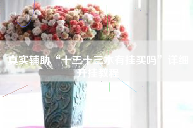 真实辅助“十三十三水有挂买吗	”详细开挂教程