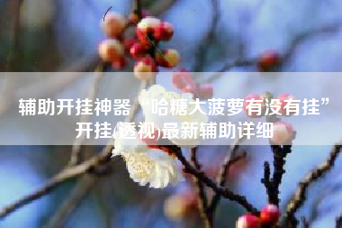 辅助开挂神器“哈糖大菠萝有没有挂	”开挂(透视)最新辅助详细