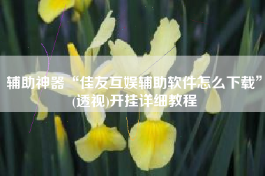 辅助神器“佳友互娱辅助软件怎么下载”(透视)开挂详细教程